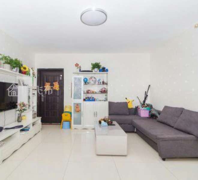 关口精装修，中间楼层