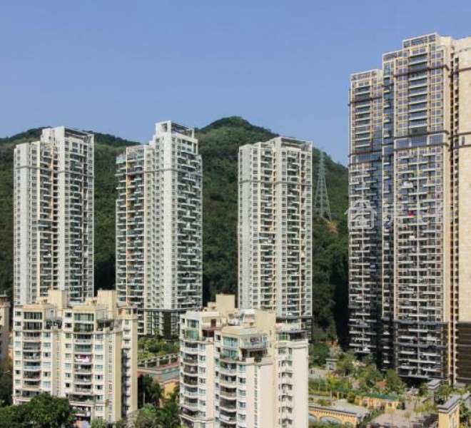 新世界倚山花园3房两厅