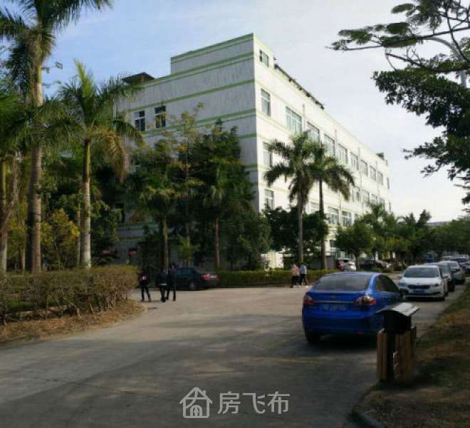 大工业区新出原房东楼上厂房分租500平方，带精装修办公室前台