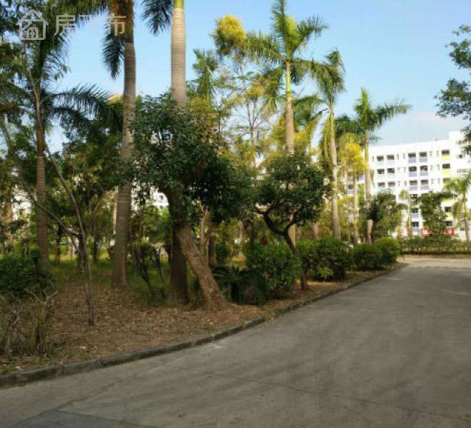 大工业区新出原房东楼上厂房分租500平方，带精装修办公室前台