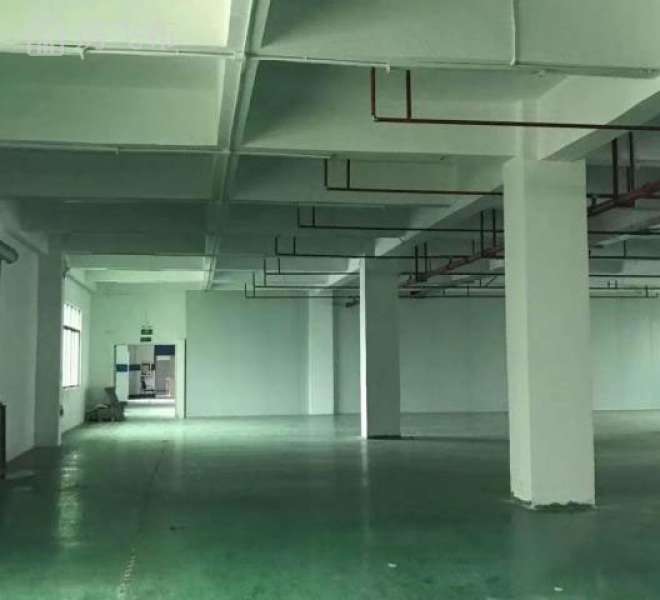 (出租)龙华工业园3万平方红本厂房出租200平起分租可办环评招租