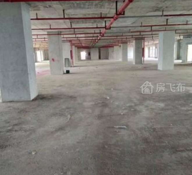 急售！深圳坪山马峦社区红本厂房16000平按占地面积