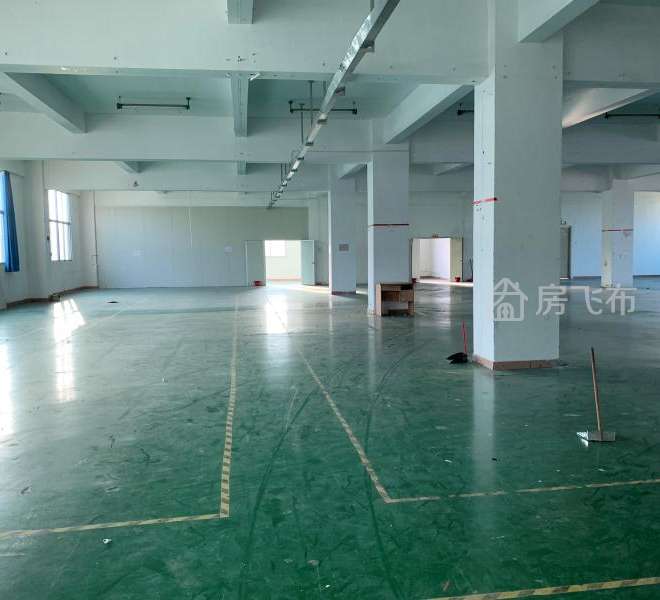  (出租)石龙仔新出楼上2285平精装修厂房出租，无转让费