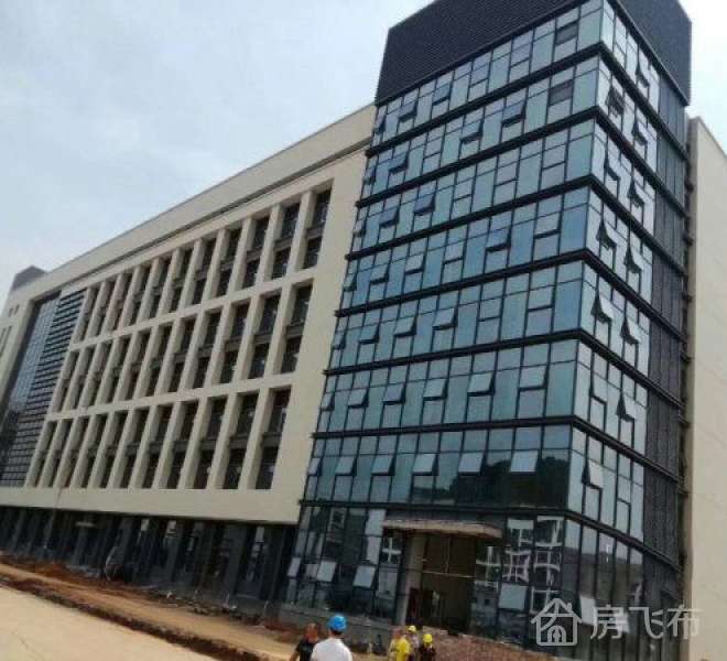 坪山全新10000平米*办公楼出售