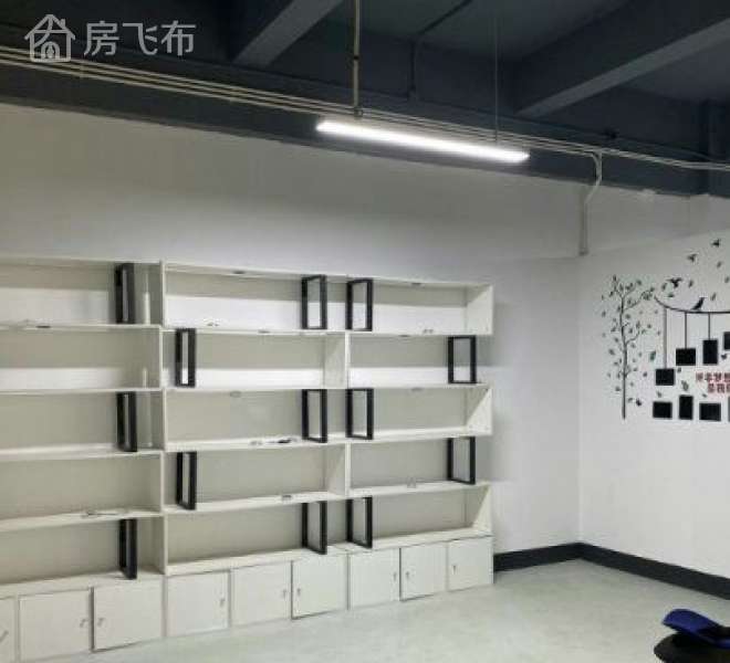 布吉片区 全新办公室 厂房 招租 可*公司 319平