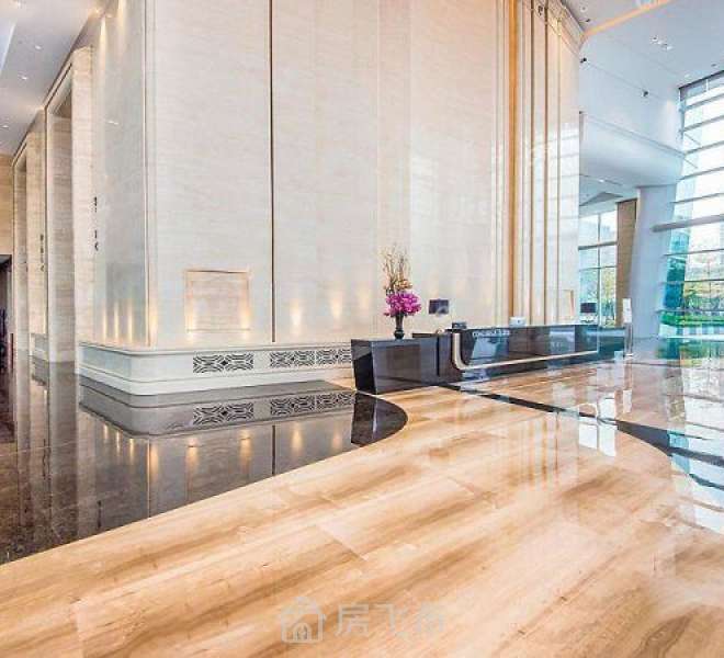 前海壹号顶层复式 一层隔成三层  毛坯房 享政府政策红利