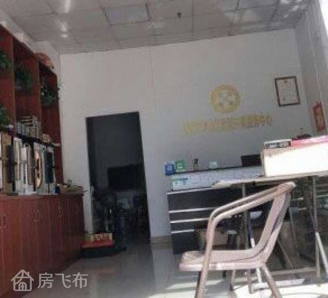 坪山核心区 高铁站旁 东城荟临街现铺发售