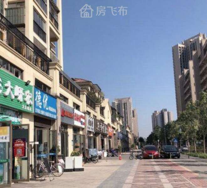 坪山核心区 高铁站旁 东城荟临街现铺发售
