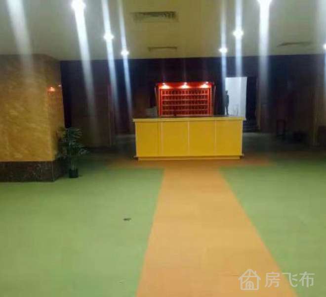 西丽新出2500平钢构 豪华摄影场所 带太空舱 无转让费