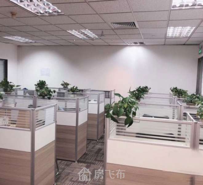 罗湖地.王大厦高楼层140.09平方正单位电梯口带租约