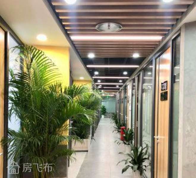 龙华新区天虹旁全新装修！带红本！可注~册