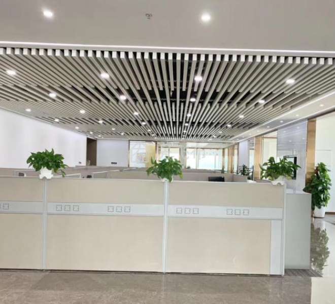 (出租) 新盘新华大厦豪华装修家具整层出租