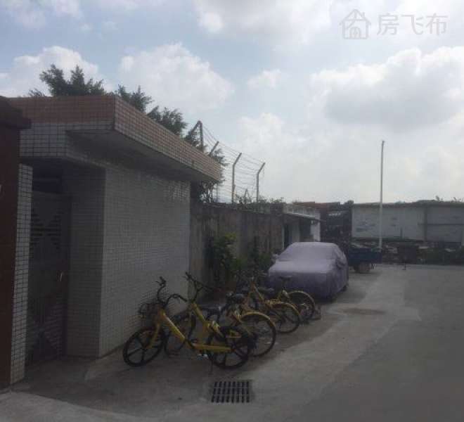 观澜独立宗地厂房 股权转让 带租约