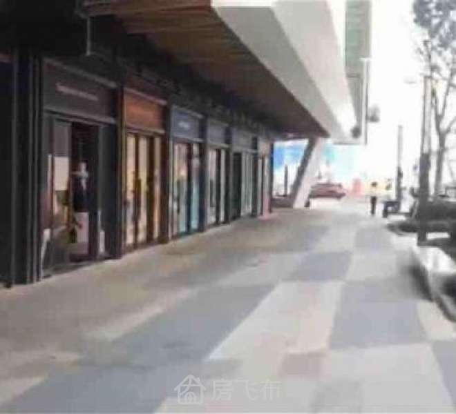 盐田中心位置 地铁口一手商铺 层高6米起200万起