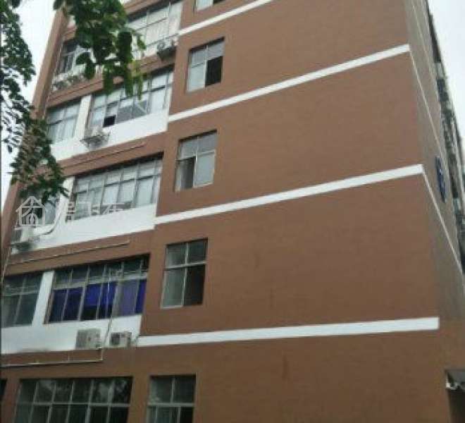 电商办公仓库贸易产业园200平300平400平500平出租