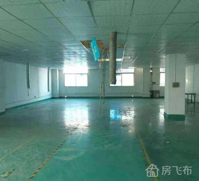 (出租) 急租楼上精装900平公摊小无转让费，公明楼村