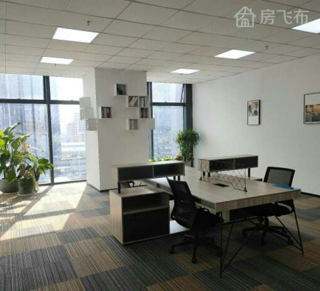 出售|平湖标杆甲级红本写字楼单价14500 超大气 首付5成可分期