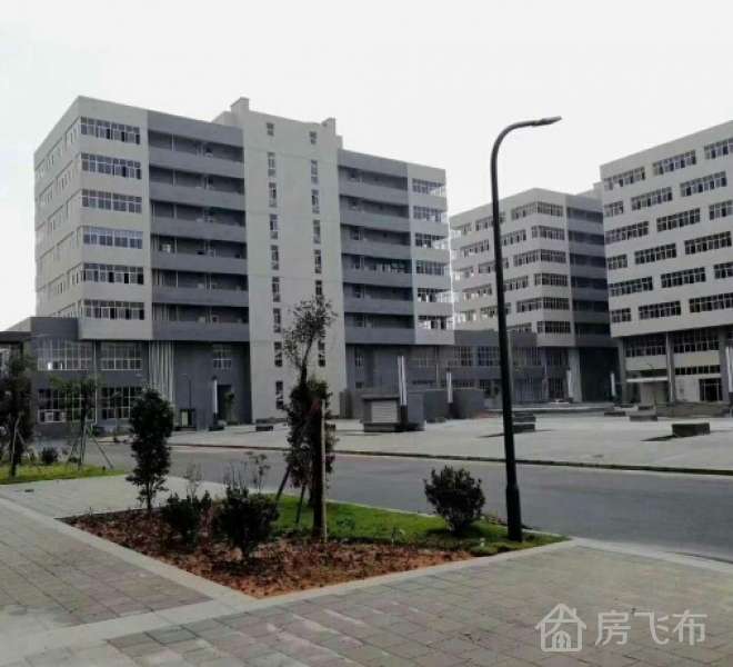 出售|租厂房不如买厂房！深圳原房东自用独院高端红本厂房出售