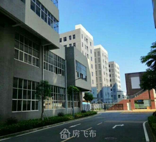 出售|临深一手高端红本厂房 总部大楼科研大厦出售可分割分层分栋出售