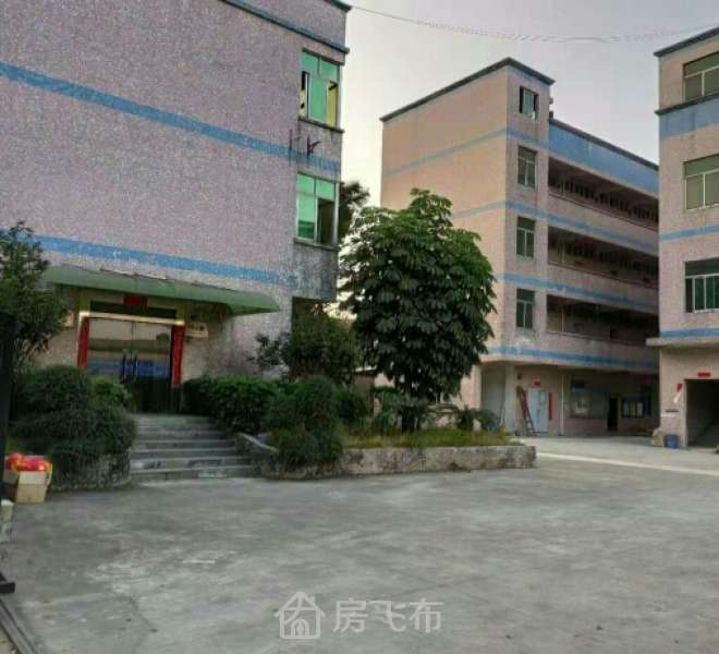 出售|深圳龙岗红本厂房6000元一平米出售