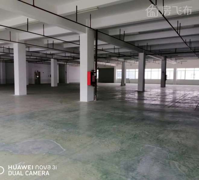 龙岗 宝龙二楼3100平标准厂房招租