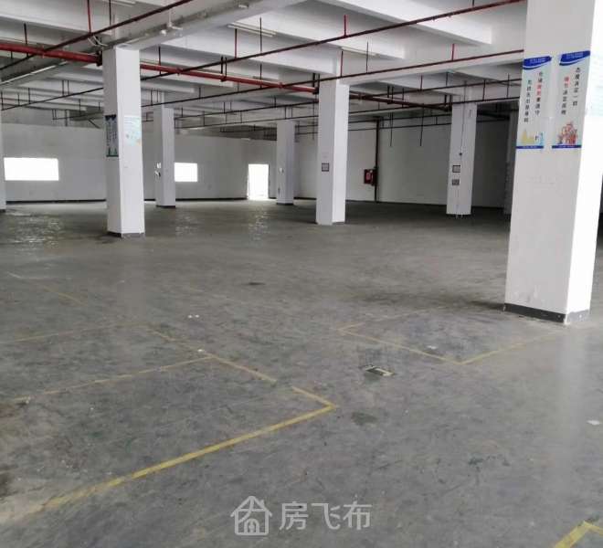 龙岗 宝龙二楼3100平标准厂房招租