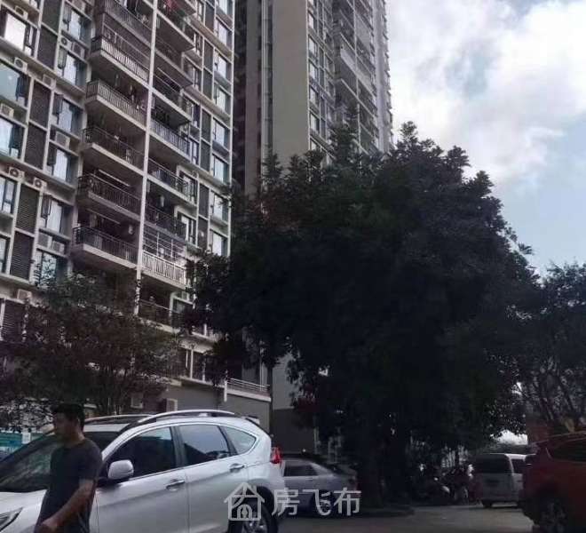 可落户口，罗湖18栋村委统建楼带燃气管道和停车场