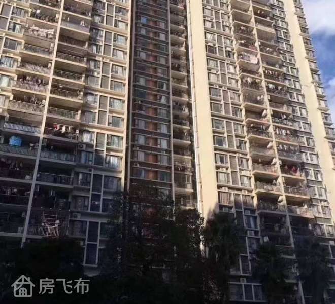 可落户口，罗湖18栋村委统建楼带燃气管道和停车场