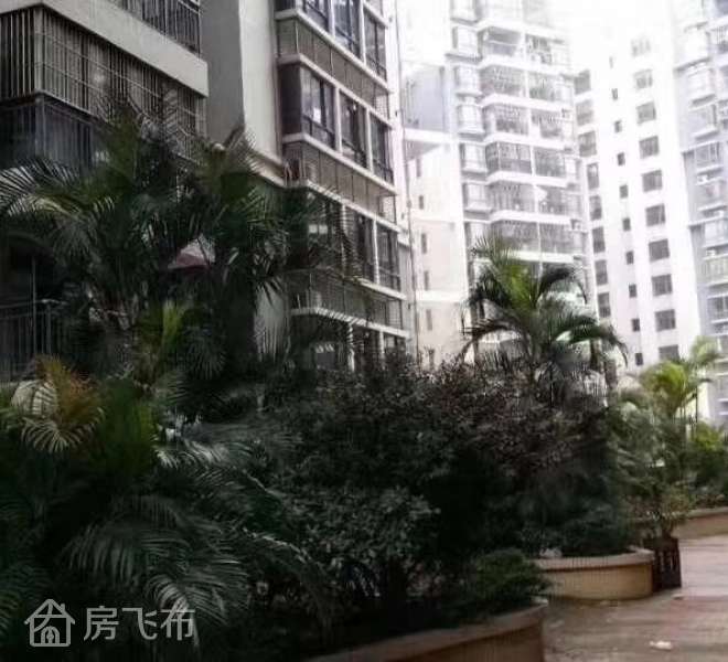 布吉沙湾 6栋28层千户大社区 交通便利 可落户 村委盖章