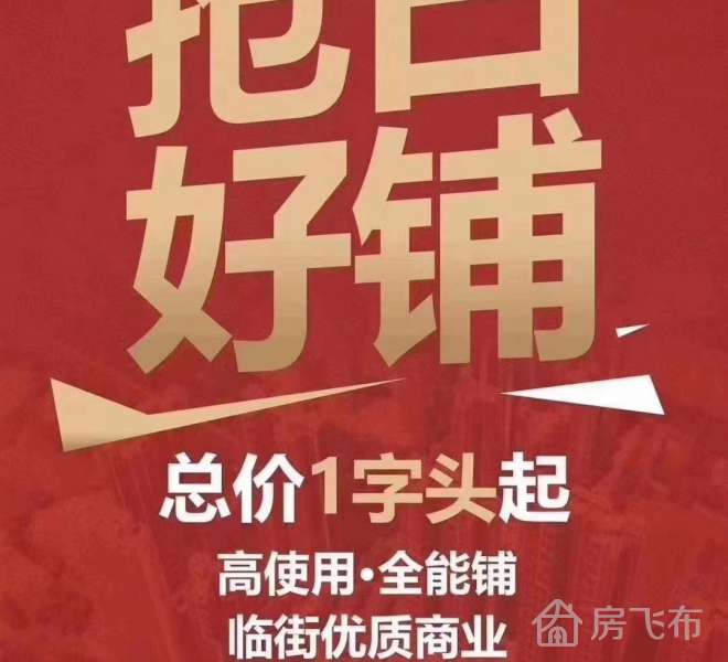 龙岗双地铁口一手街铺  投资回报率八个点 年租金10W  