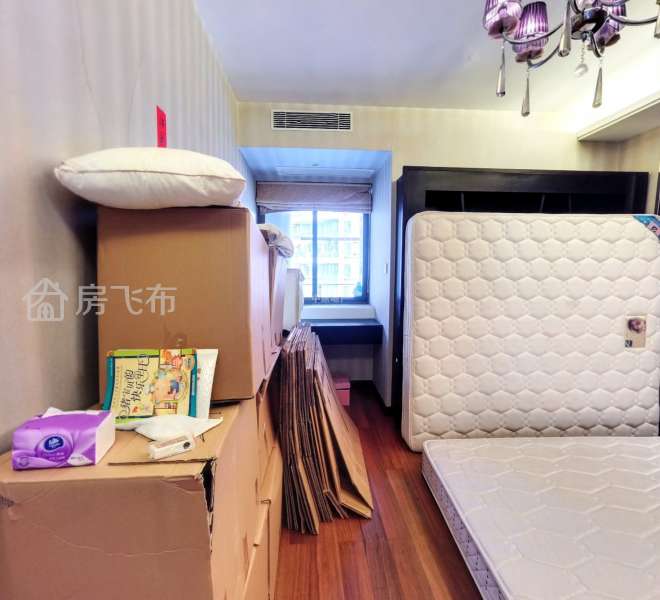 星河丹堤六房复式297平售3000万豪装