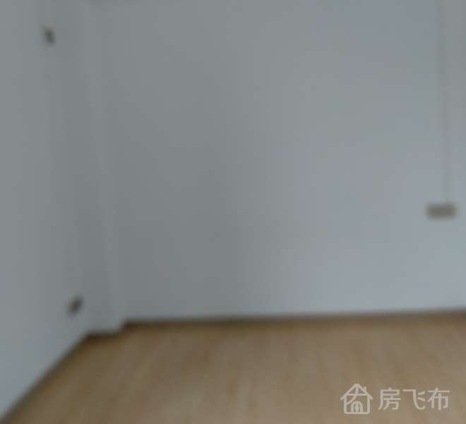 超笋，二天必卖，宝安地铁口2房150万