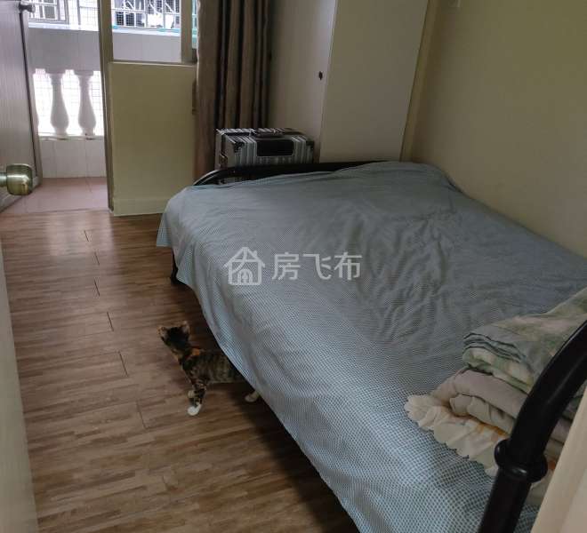 一室一厅干净卫生便宜实惠