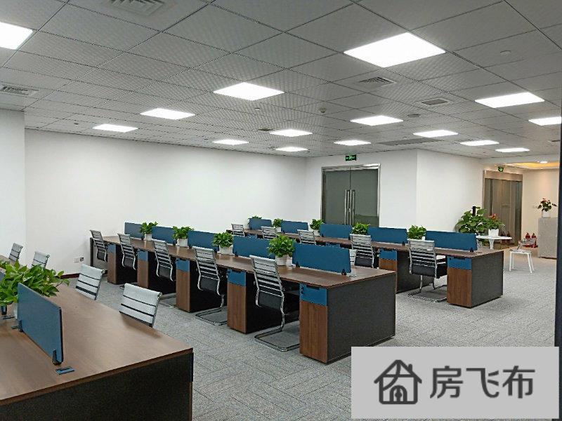 (出租) 渝中区解放碑地标性建筑物WFC 看江采光 交通便利