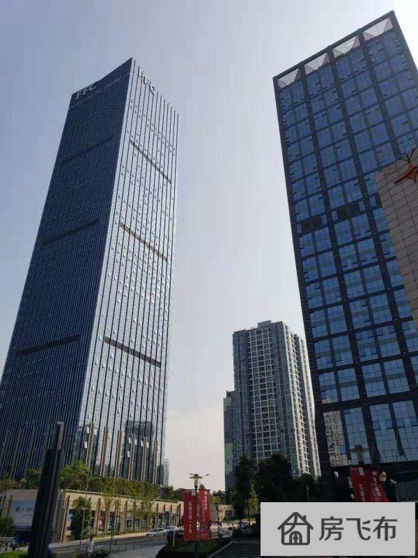 (出售) 北环重庆财富金融中心FFC清水出售325平米