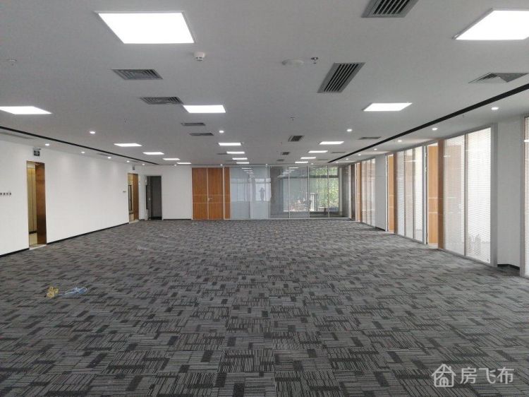 南山区科技园深圳湾科技生态园写字楼980平米