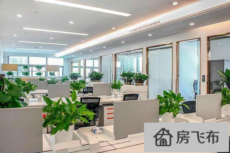 (出租) 科苑地铁口 深圳湾科技生态园 510平办公室配家私