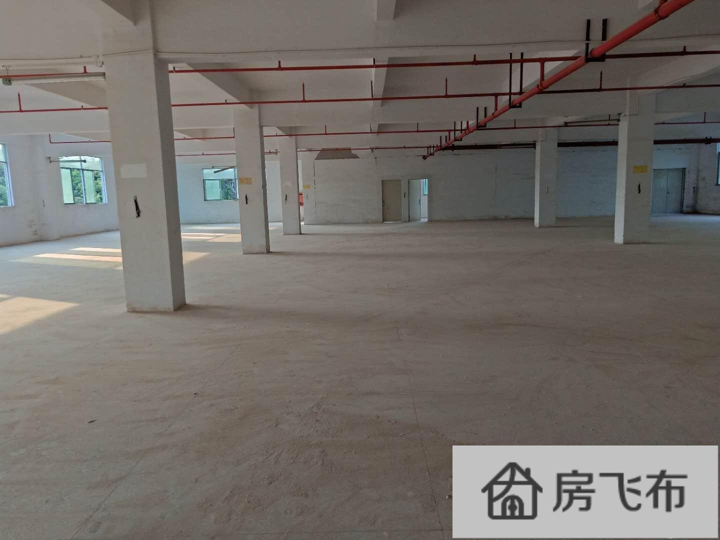 (出租) 坪山石井新出独院厂房楼上1300平出租，有独立办公