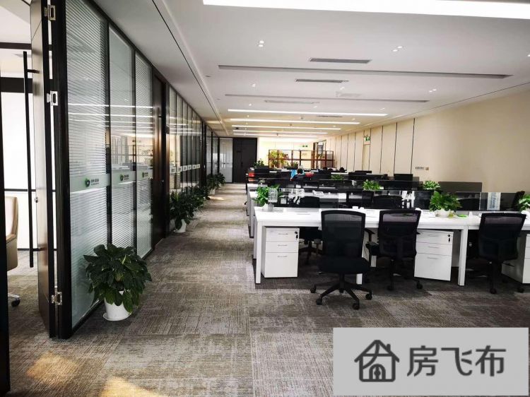 (出租) 深圳湾科技生态园 398平 高层海景办公室 配家私