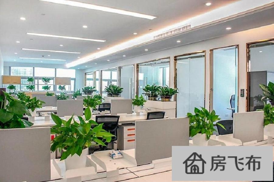 (出租) 科技园深圳湾科技生态园 500精装 户型方正 朝南