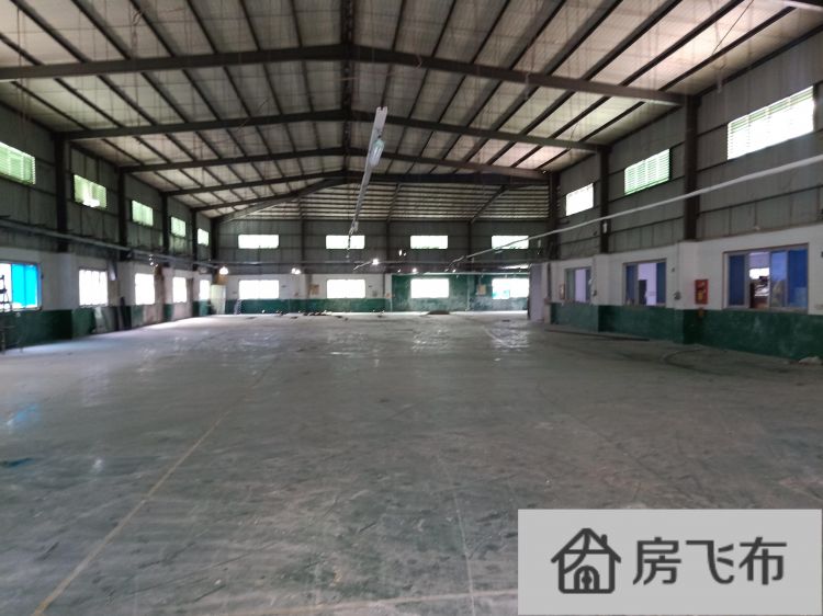 (出租) 平湖新木8米高钢结构独院厂房1900平方带装修出租
