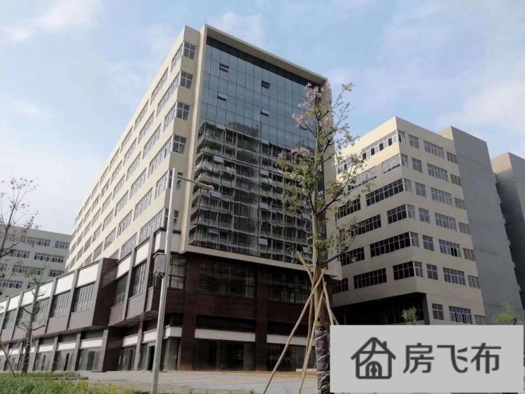 (出售) 深圳全新国有证厂房200平米起售