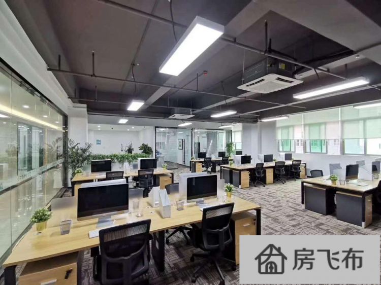 (出租) 杨美写字楼办公室出租 性价比超高 全新隔间豪装空调