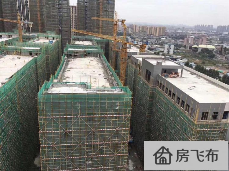 (出售) 东莞厚街全新厂房销售总建面积(约):750000