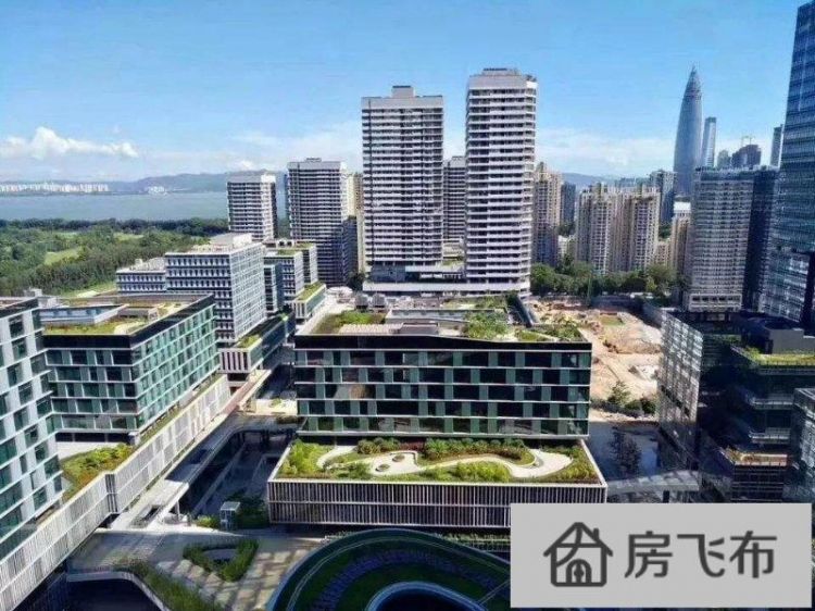 (出售) 南山高新企业基地、深圳湾科技生态园整层出售可转股权