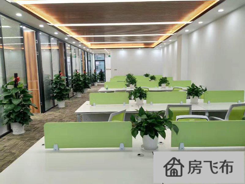 (出租) 科技园南区《深圳湾科技生态园》220平高层带家私