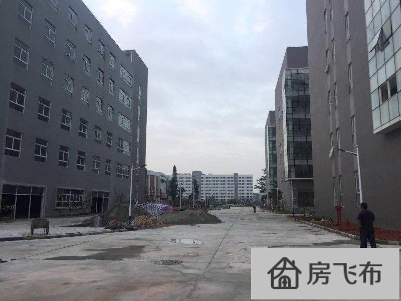 (出售) 惠州惠阳秋长新出总建筑12000平一一双证齐全厂房出售
