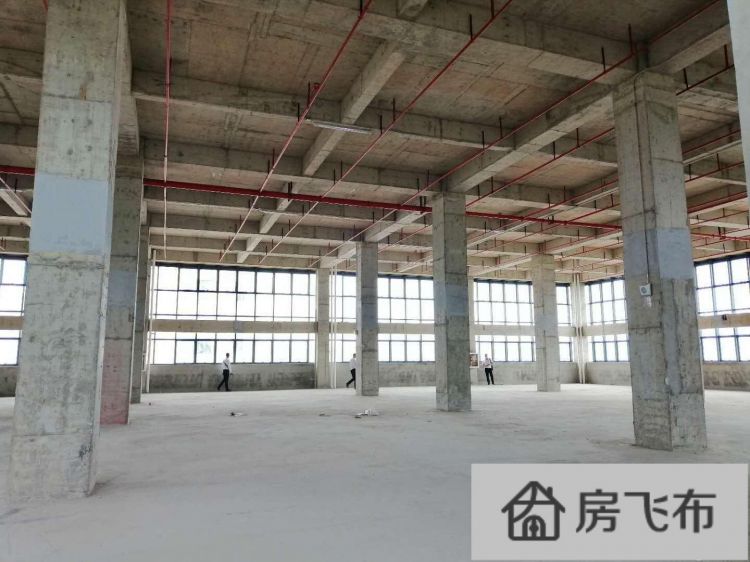 (出租) 坂田天安云谷全新厂房六层单层1600平层高7米