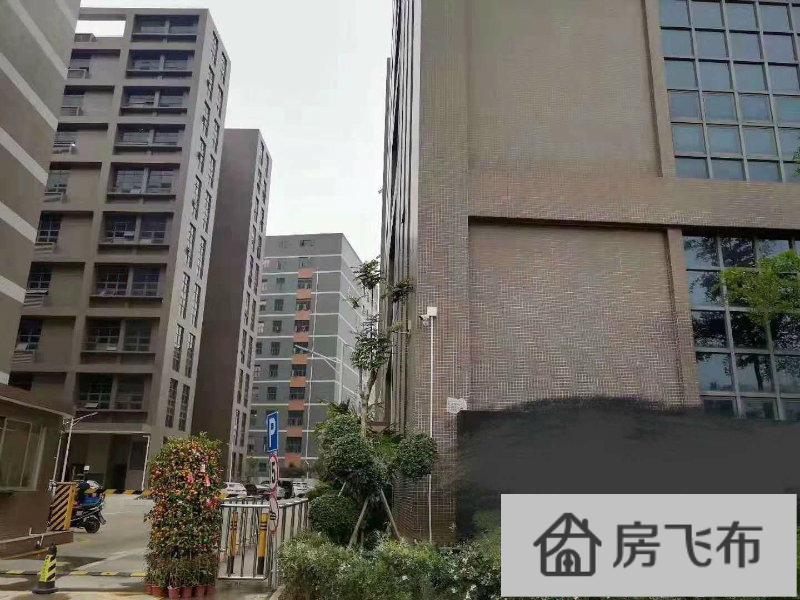 (出租) 公明长圳工业区3万平米大型红本厂房出租500起分