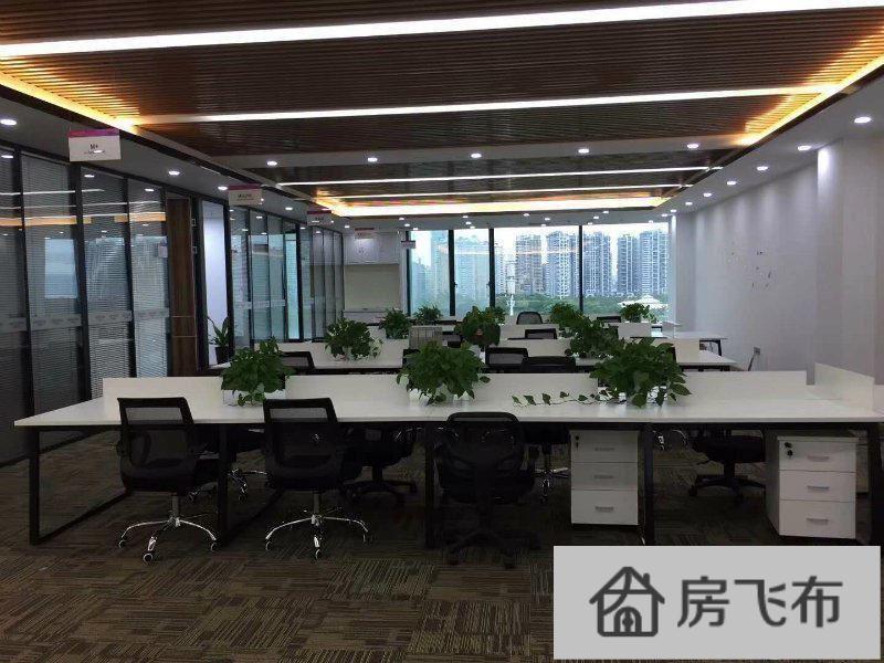 (出租) 深圳湾科技生态园498平电梯口 看海景 特价60元